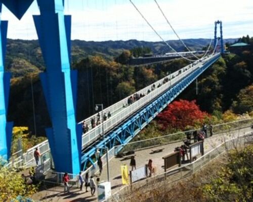 神奈川県　横浜市　配送　配送業者　安い　おすすめ　赤帽