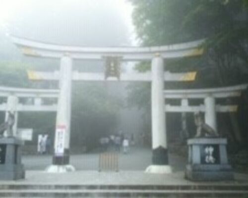 神奈川　配送　配送業者　安い　おすすめ　料金　赤帽