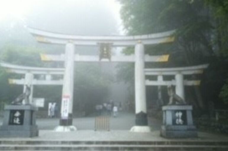 神奈川　配送　配送業者　安い　おすすめ　料金　赤帽